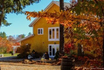 barn photo in the fall